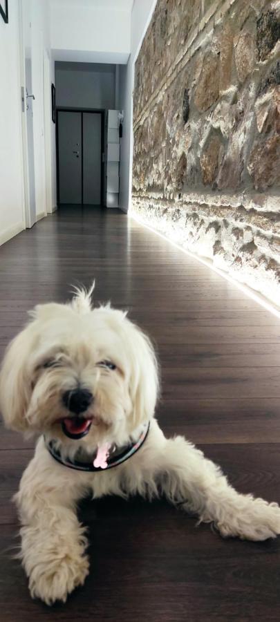 רומא Ema Flat In Trastevere מראה חיצוני תמונה